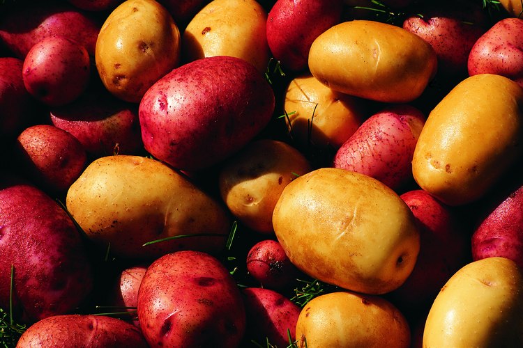 Grande o pequeña, roja o blanca, las papas son un alimento básico de la cocina.