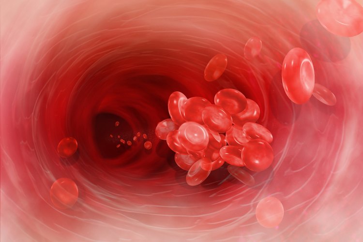 Imagen en 3 dimensiones de una arteria humana y la sangre que circula.