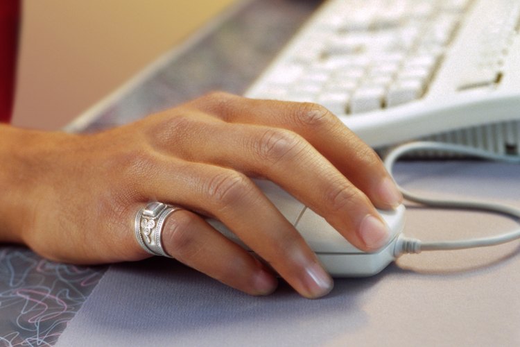 La verificación de la ortografía de las palabras y nombres a menudo se lleva a cabo en línea usando una variedad de bases de datos.