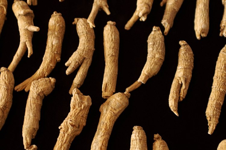 Como la cafeína, a veces se usa el ginseng panax para estimular la mente.