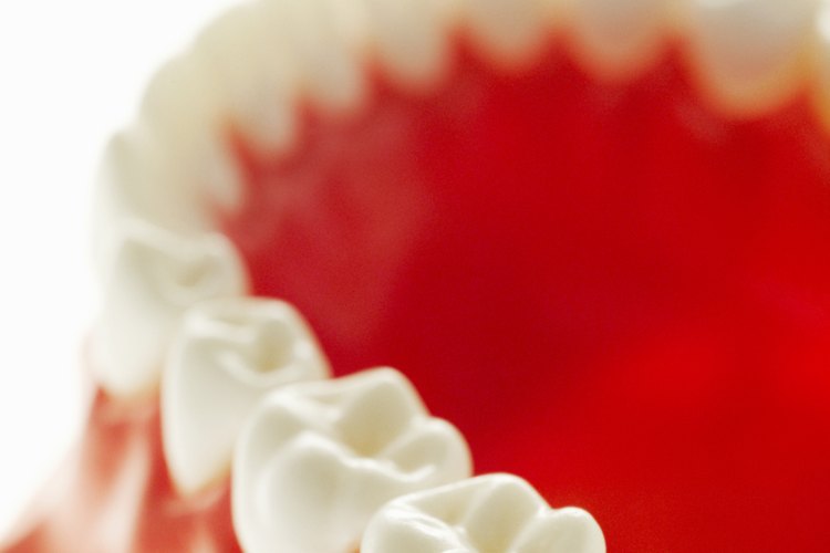 ¿Cuánto tiempo debo esperar para conseguir prótesis dentales después de una extracción dental?
