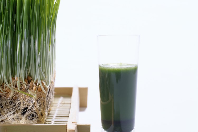 El pasto agropiro es uno de los ítems cargados de nutrientes en el menú de Jugo Juice.