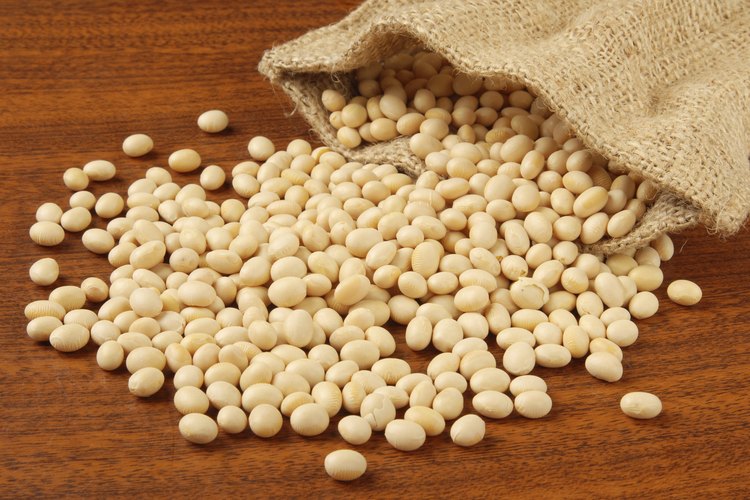 Los frijoles de soja son una fuente común para la lecitina en polvo.