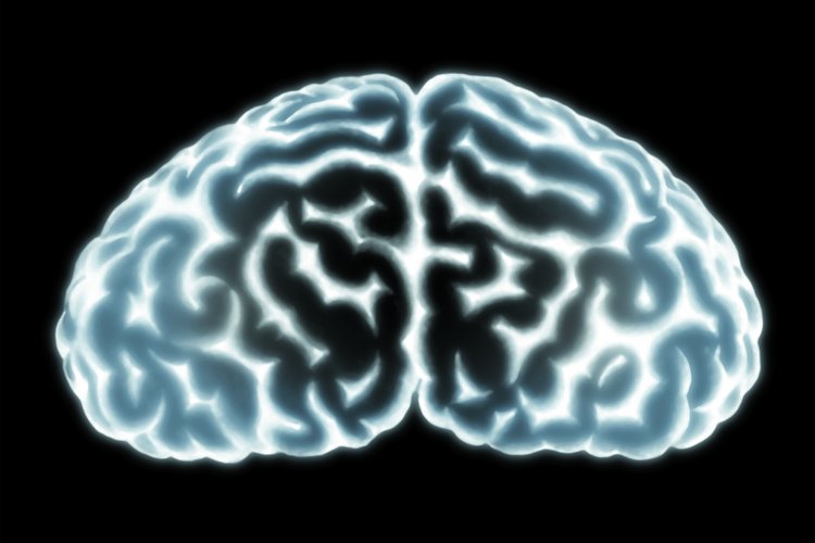 Tu cerebro, al igual que tus músculos, necesita ejercitarse para operar al máximo rendimiento.