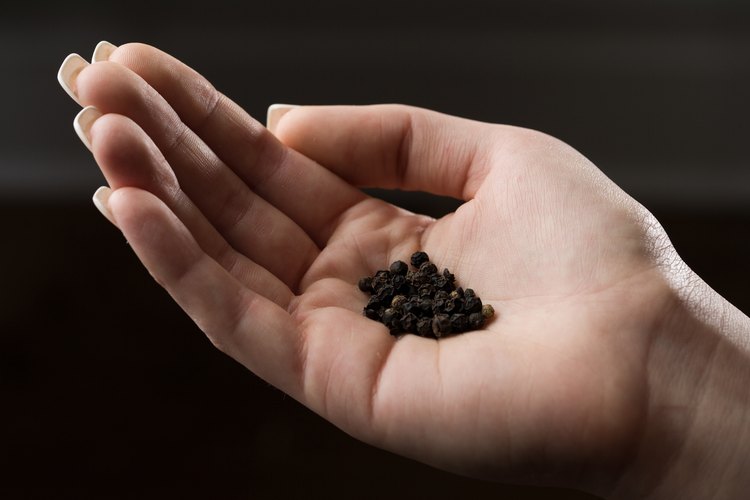 Come pimienta negra para beneficios cardiovasculares y contra el cáncer.