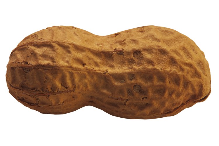 Los cacahuates y otra maníes son causas comunes de alergias alimentarias.
