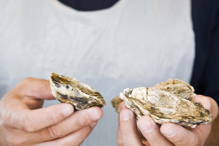 Muchos nutrientes en las ostras pueden combatir el frío en manos y pies.