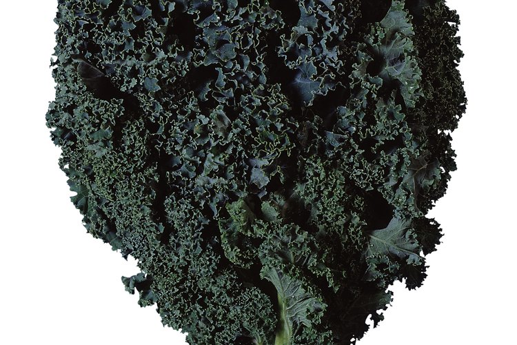 Los vegetales de hoja verde oscura proporcionan nutrientes para mantener una visión saludable.