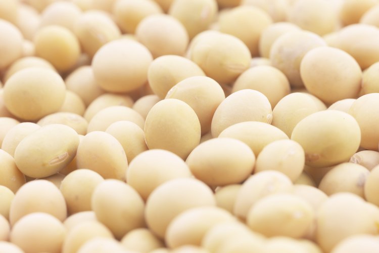 Los frijoles blancos son pequeños y combinan bien con el jamón.