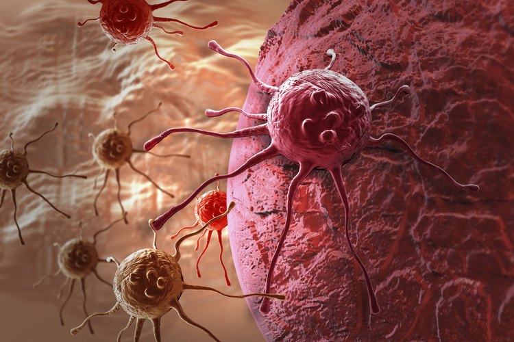 Células de cáncer en 3D.