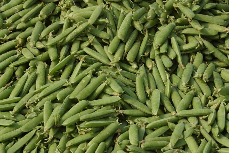 Los guisantes contienen vitamina B.