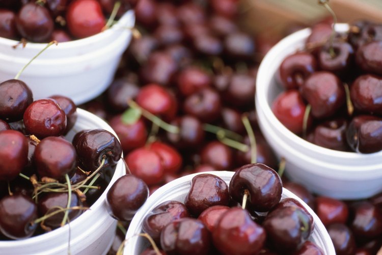 Estudios recientes indican que comer cerezas podría ayudar a aliviar los dolores de la artritis.