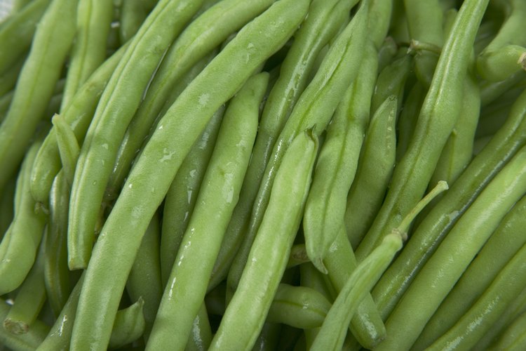 Las judías verdes contienen vitaminas, incluyendo la vitamina A.