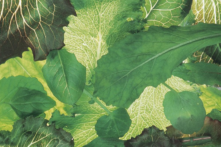 Las verduras verdes y de hoja contienen vitaminas liposolubles A, E y K.