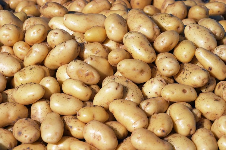 Las patatas son una buena fuente de vitaminas y minerales.