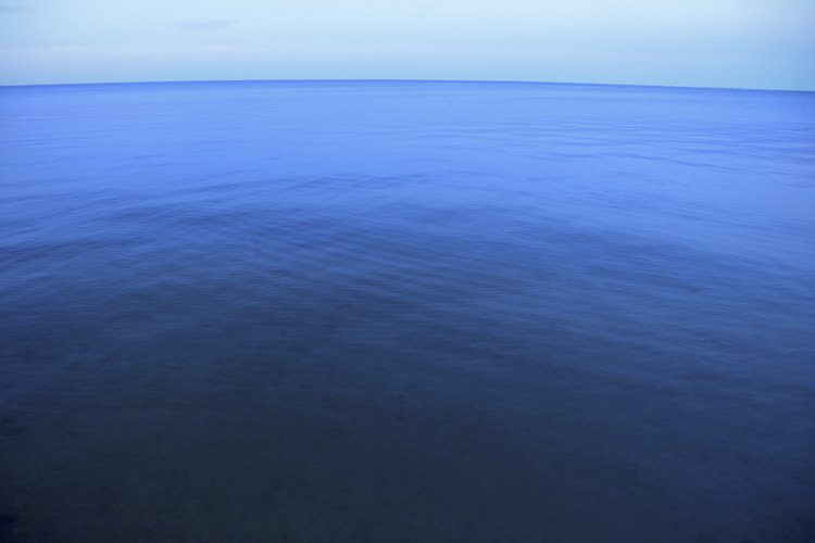 ¿Qué es la Spirulina Pacifica?