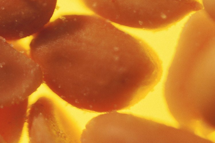 Una reacción alérgica a los alimentos como los maníes puede provocar hinchazón en la garganta.