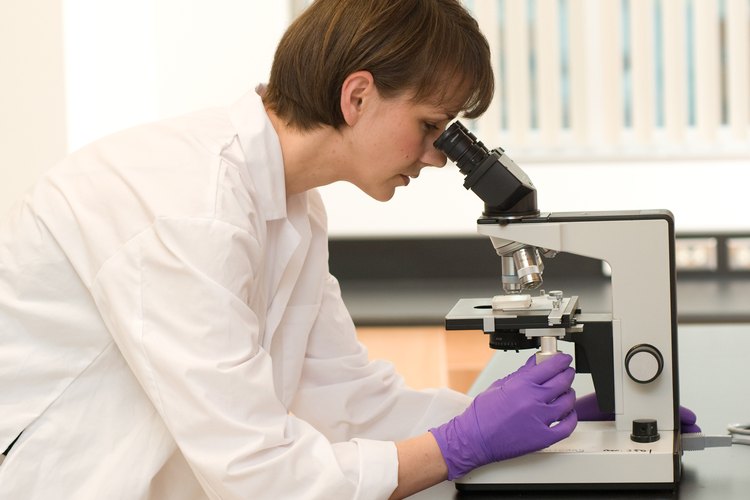 La distribución informática puede ayudar con la investigación científica y la medicina.