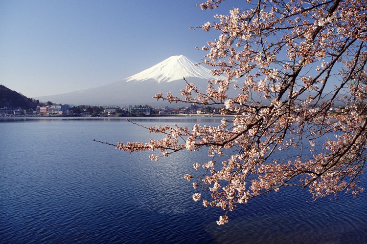 Escena de Japón.