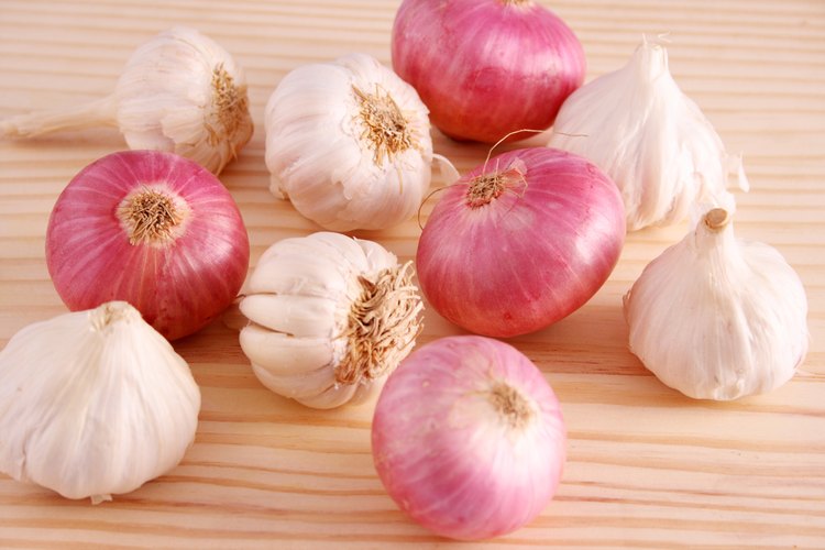 El ajo y las cebollas crudos pueden brillar como ingredientes principales o agregarse a los platos cocidos antes de servirlos.