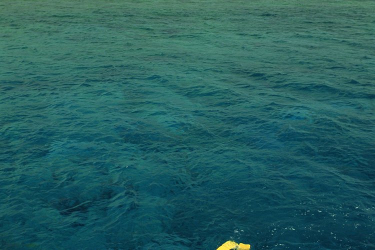 Mejora tu experiencia de snorkel asegurándote de tener una máscara que se ajuste adecuadamente.