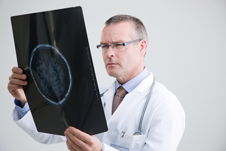 Esto incluye el cerebro, la médula espinal, los músculos y los nervios de todo el cuerpo.