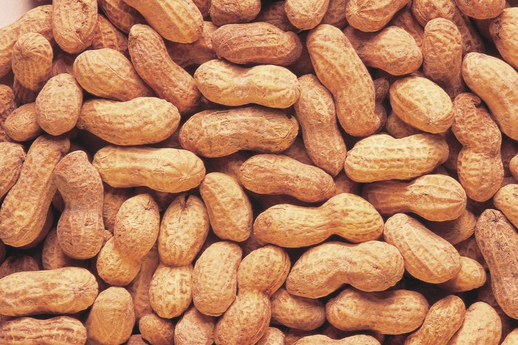 El aceite de maní es mejor para freír que el de canola.