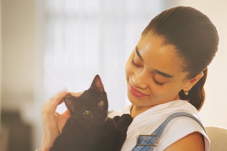 Dolor de muelas en los gatos.