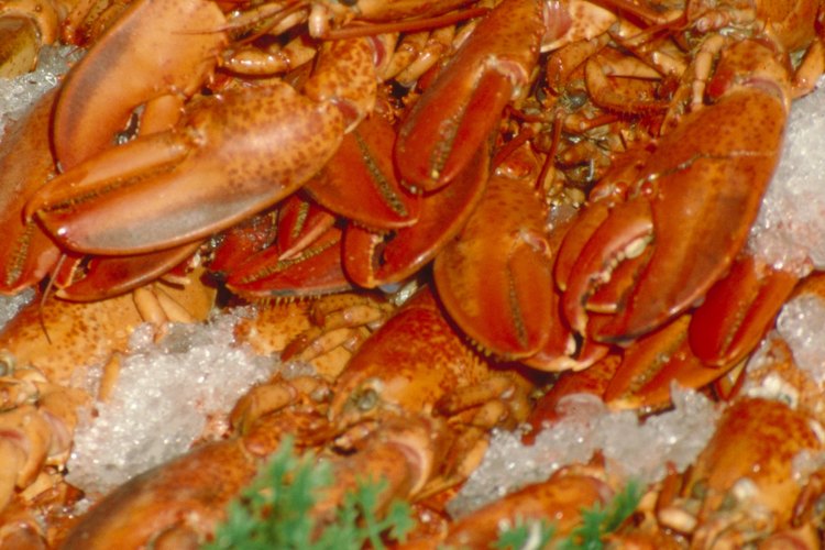 Una olla de agua salada hirviendo consigue que las langostas precocinadas congeladas estén listas para el consumo.
