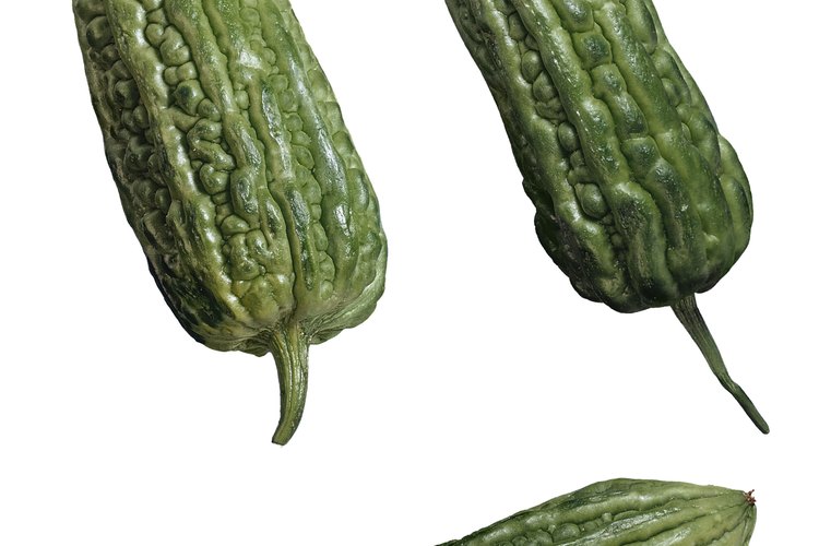 El melón amargo es un remedio herbal que puede bajar el azúcar en la sangre.
