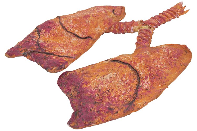 Es importante para los fumadores desintoxicar sus pulmones.