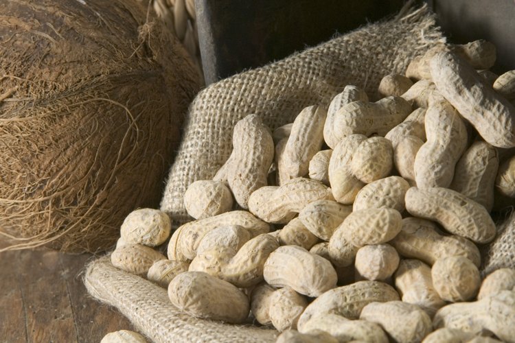 El maní es un alimento de bajo índice glucémico.