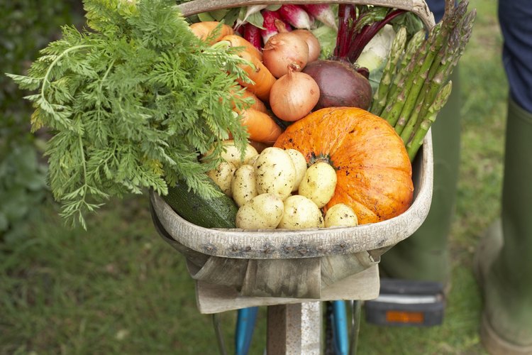 La dieta de los vegetarianos.