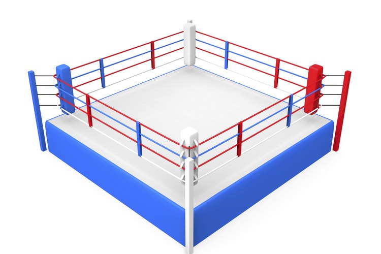 La lucha libre ha sido popular durante décadas.