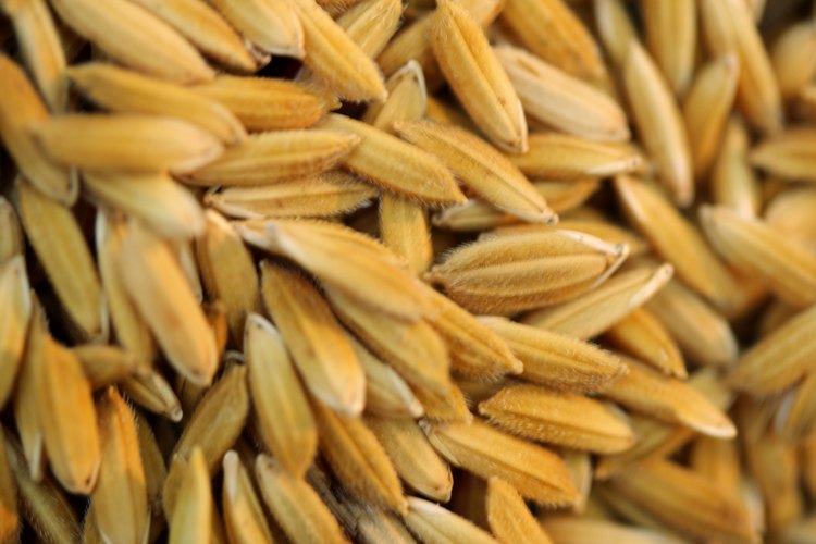 Los cereales son una fuente importante de energía.