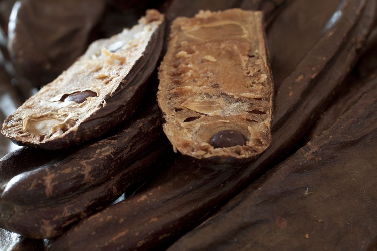 Vaina de algarrobos y frijoles.
