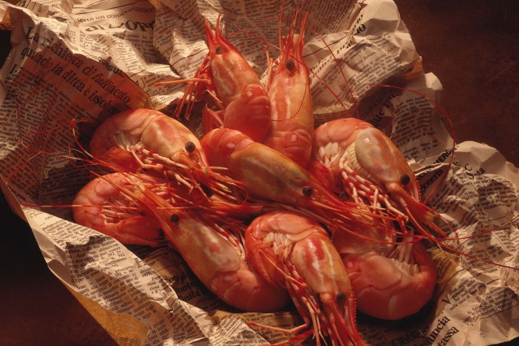 Varias especies de langostinos son cosechadas para el consumo humano.