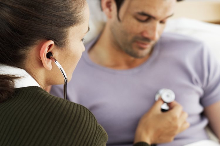 ¿Cuáles son los componentes del sistema cardiovascular?