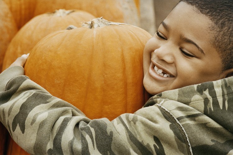 Planifica tu festival de otoño para toda la familia.