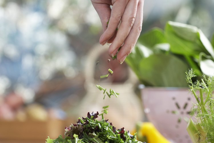 Utiliza aceite de oliva para tus ensaladas.