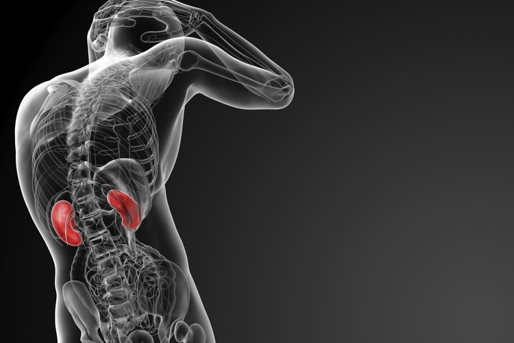 Puedes probar algunos remedios naturales para tratar la insuficiencia renal.