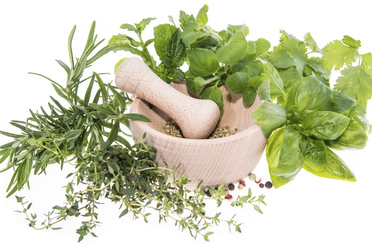 Muchas plantas pueden ayudarte con el cansancio de la vida diaria.