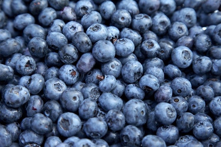 Las asaí y las aristotelias son parecidas a los arándanos, pero contienen más antioxidantes.