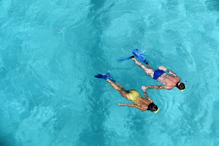 Sigue el sistema de compañeros al nadar o hacer snorkel.