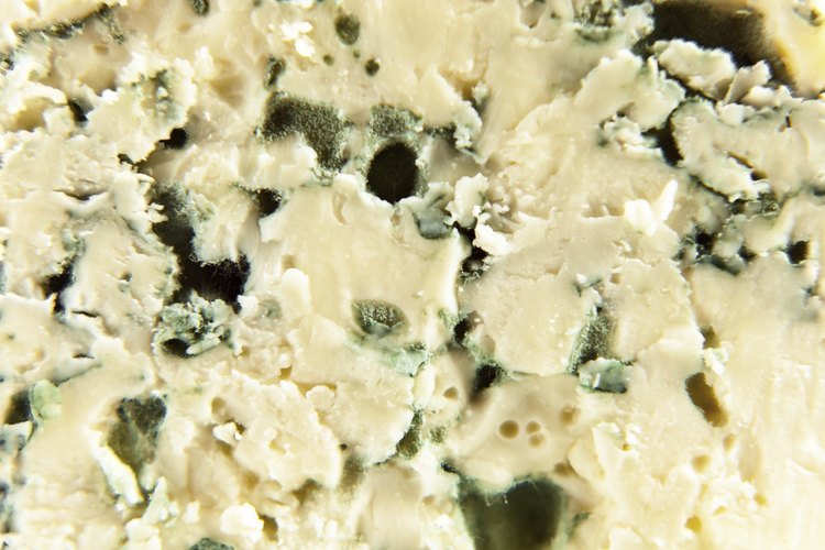 Acercamiento del queso azul.