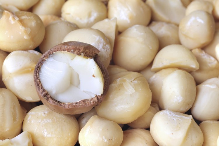 Nueces de Macadamia.