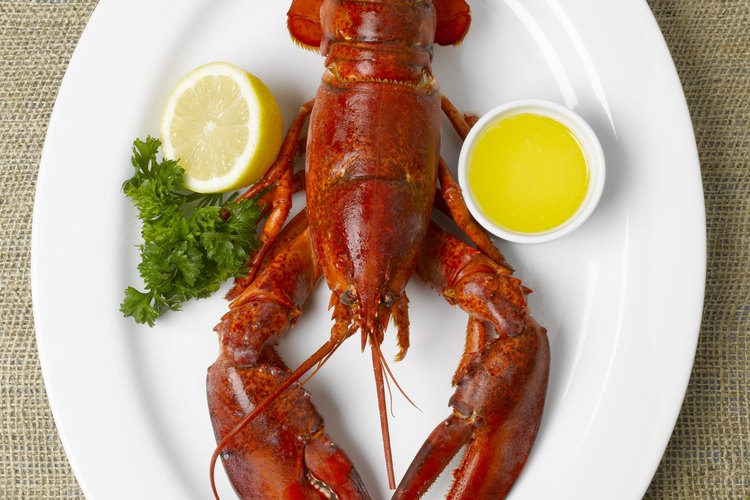 La langosta congelada no es tan buena como una recién cocinada, pero es un sustituto aceptable cuando es necesario.