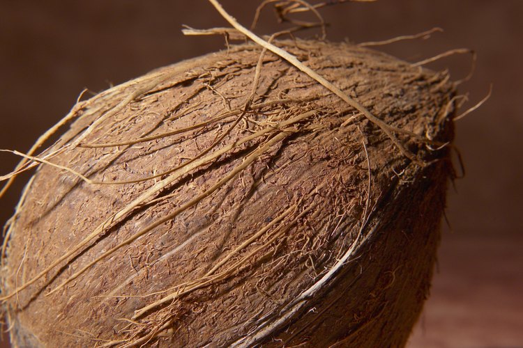El aceite de coco actúa como una pantalla solar natural que protegiendo la piel y el cabello de los rayos ultravioletas.
