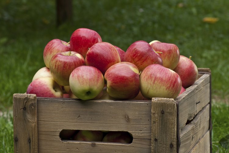 Una caja con manzanas.