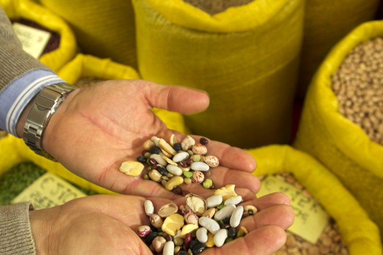 En muchas regiones del mundo, los frijoles son una parte fundamental de la dieta diaria.